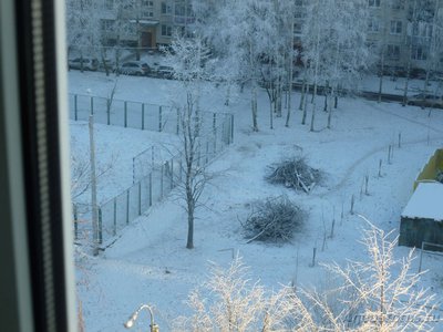 Коряга в аквариуме