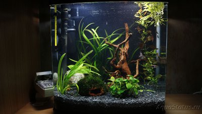 Аквариум JEBO R338 30 литров (Doctor_Zig)
