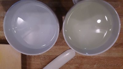 Мутная вода в аквариуме, муть в аквариуме