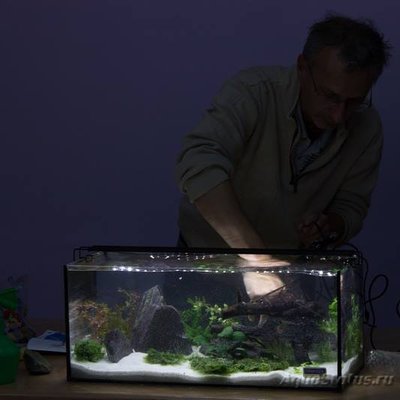 Фото наших участников