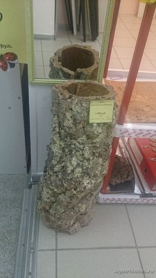 Мутная вода в аквариуме, муть в аквариуме