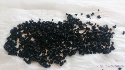 Мутная вода в аквариуме, муть в аквариуме