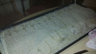 Фото Бюджетный подогрев грунта в аквариуме своими руками (photo#78400)
