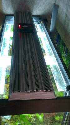 LED свет за 5000руб для 300л аквариума с растениями