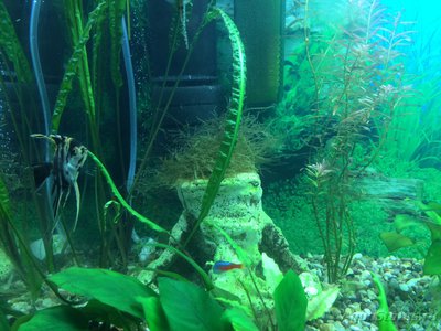 Аквариум на 120 литров (Heellfish) 
