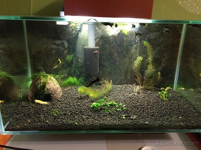 Аквариум FLuval edge 23 литра (zeus1981)