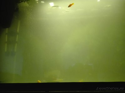 Проблема с водой,что делать?