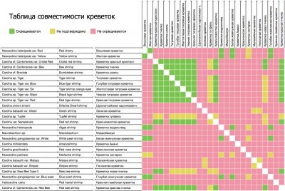 Фото Таблица совместимости креветок. (photo#8050)