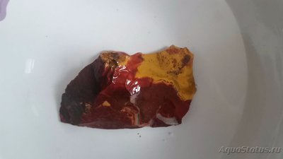 Камни для аквариума. Можно ли камень в аквариум?