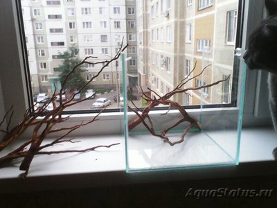 Фото Бюджетный нано аквариум 15 литров jikler  (photo#81221)
