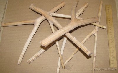 Коряга в аквариуме