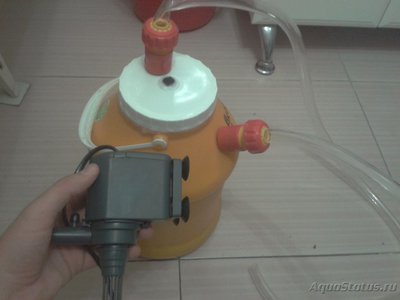 Выбор внешнего фильтра для аквариума. Какой выбрать внешний фильтр?