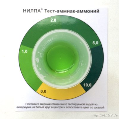 Фото Мой псевдоморской аквариум 190л deal2008  (photo#81612)