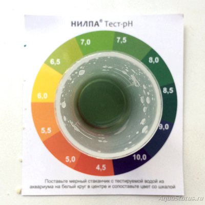 Фото Мой псевдоморской аквариум 190л deal2008  (photo#81613)