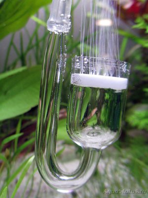 Фото CO2 диффузор из Китая (photo#82204)