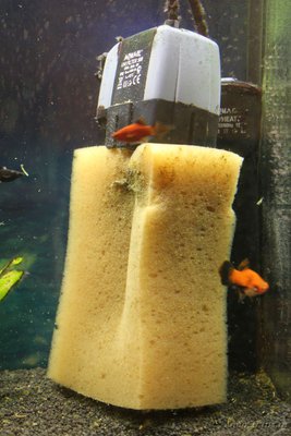 Фото Внутренний аквариумный фильтр AQUAEL UNIFILTER-500 UV . (photo#82576)