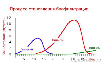 Умирают рыбки в аквариуме
