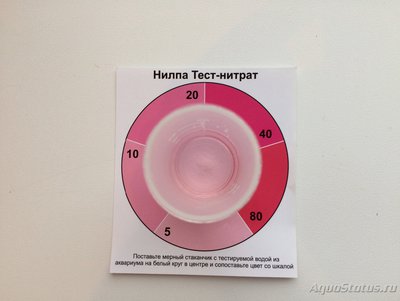 Фото Мой первый аквариум 75 литров Эллина Кочкарева  (photo#82920)