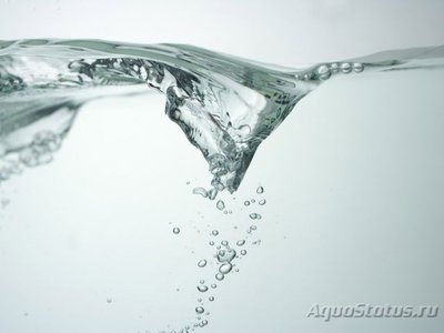 Фото Вода в аквариуме (photo#84103)