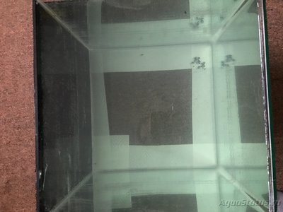 Потек аквариум