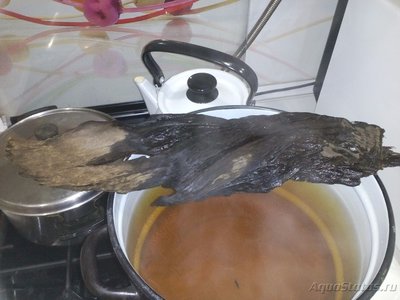 Коряга в аквариуме
