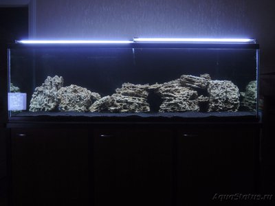 Фото Планирование аквариума для цихлид (photo#85131)