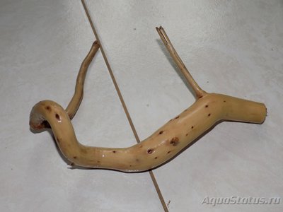 Коряга в аквариуме