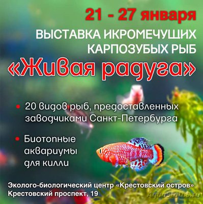Фото Биотопные аквариумы. Научно-популярная конференция (photo#85862)