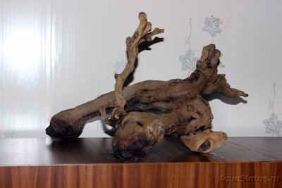 Коряга в аквариуме