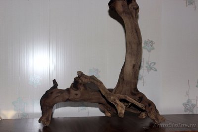 Коряга в аквариуме