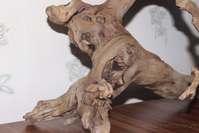 Коряга в аквариуме
