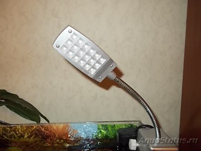 Светодиодное освещение аквариума
