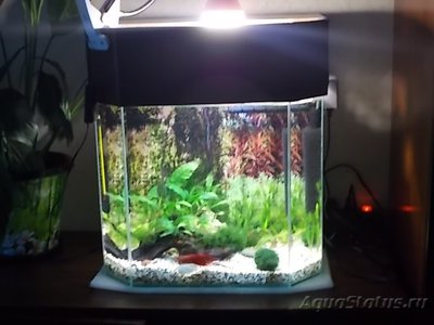 Светодиодное освещение аквариума