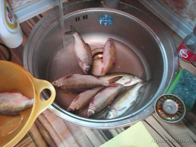Рыбалка