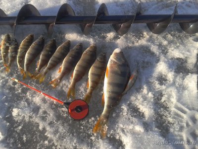 Рыбалка