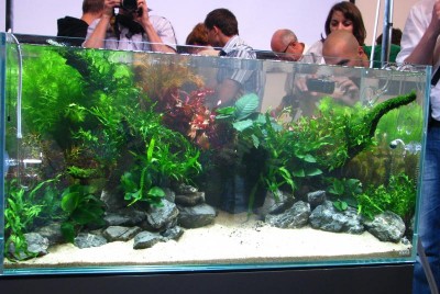 Фото 4 июня 2011 г. Мастер-класс с Такаси Амано. (photo#8742)