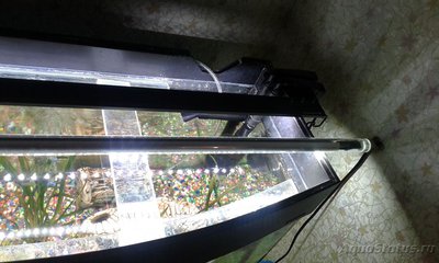 Подбор освещения для аквариума
