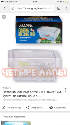 Мой псевдоморской аквариум 190л (deal2008) 