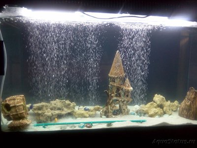 Тесты для воды в аквариуме, аквариумные тесты