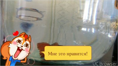 Ихтиофтириоз