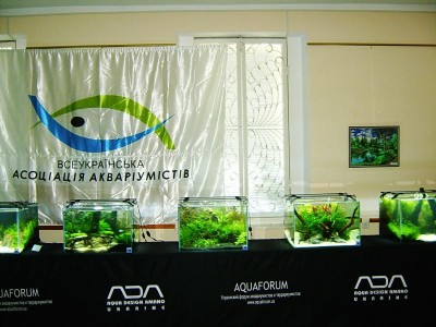 Фото Хрустальный аквариум. Конкурс аранжировки. Киев 2011г (photo#8913)