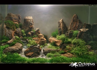 Фото Камни для аквариума. Можно ли камень в аквариум? (photo#89164)