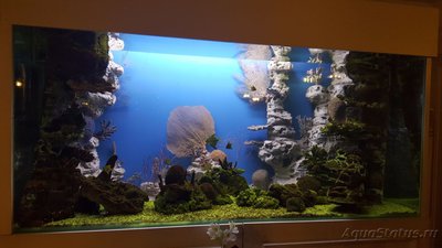 Аквариумные морские рыбки (Москва)