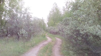 Рыбалка