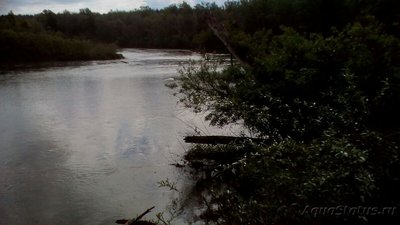 Рыбалка