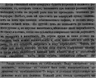 Что будет если долго не менять воду в аквариуме?