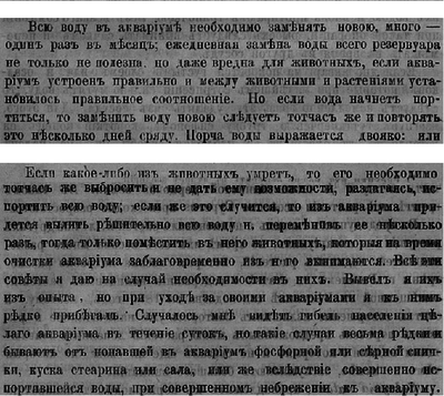 Что будет если долго не менять воду в аквариуме?