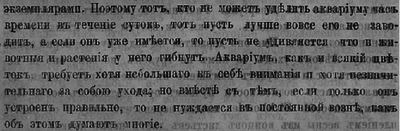Что будет если долго не менять воду в аквариуме?