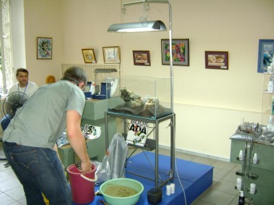 Фото Хрустальный аквариум. Конкурс аранжировки. Киев 2011г (photo#9002)