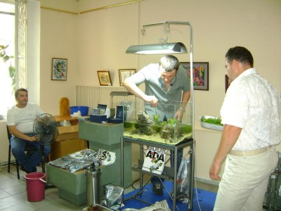 Фото Хрустальный аквариум. Конкурс аранжировки. Киев 2011г (photo#9005)